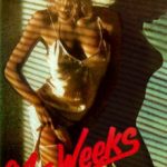 Dokuz Buçuk Hafta – Nine 1/2 Weeks lı