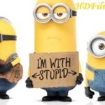 Despicable Me – Çılgın Hırsız 1