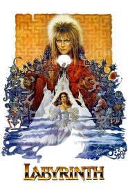 Labyrinth – Labirent